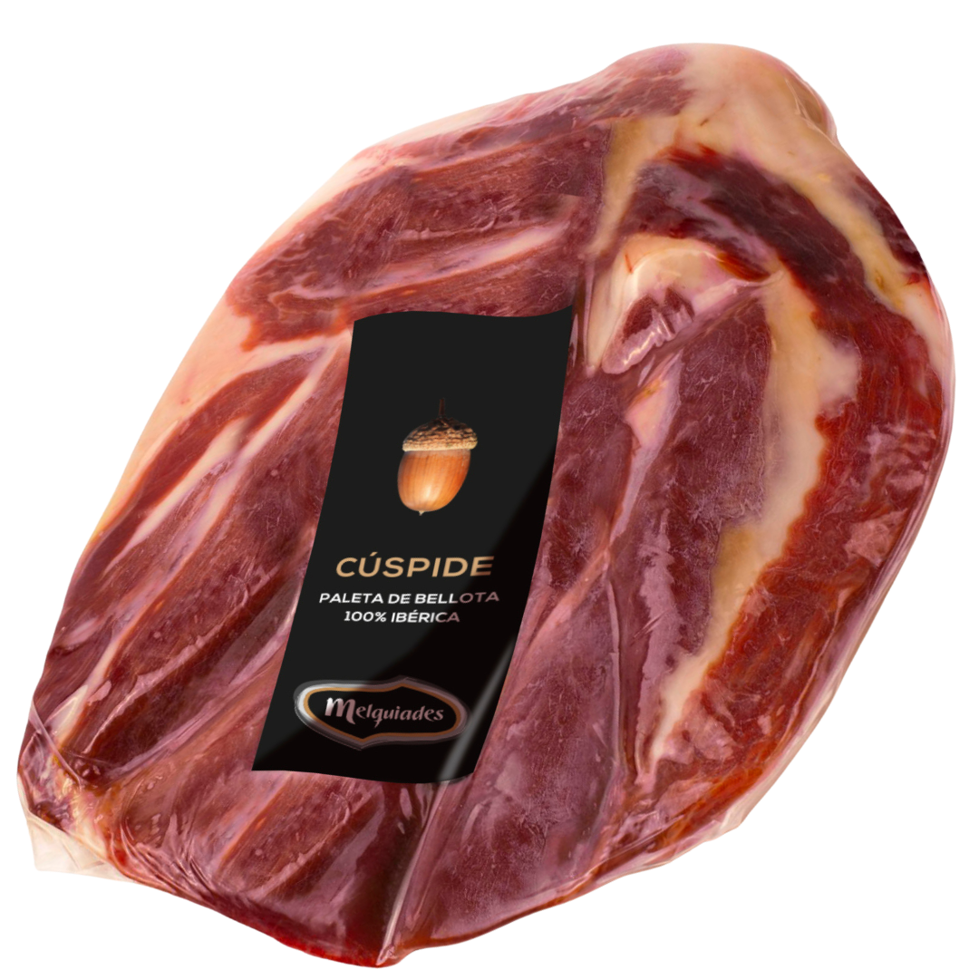 Iberischer Vorderschinken ohne Knochen Black Label Bellota 100 Prozent Premiumqualität